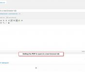 Setting-the-PDF-to-open-in-a-new-browser-tab1