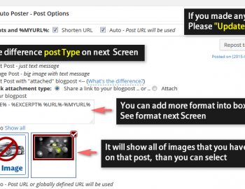 How to use Social Networks Auto Poster Plugin-3