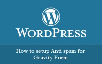 How to setup Anti spam for Gravity Form